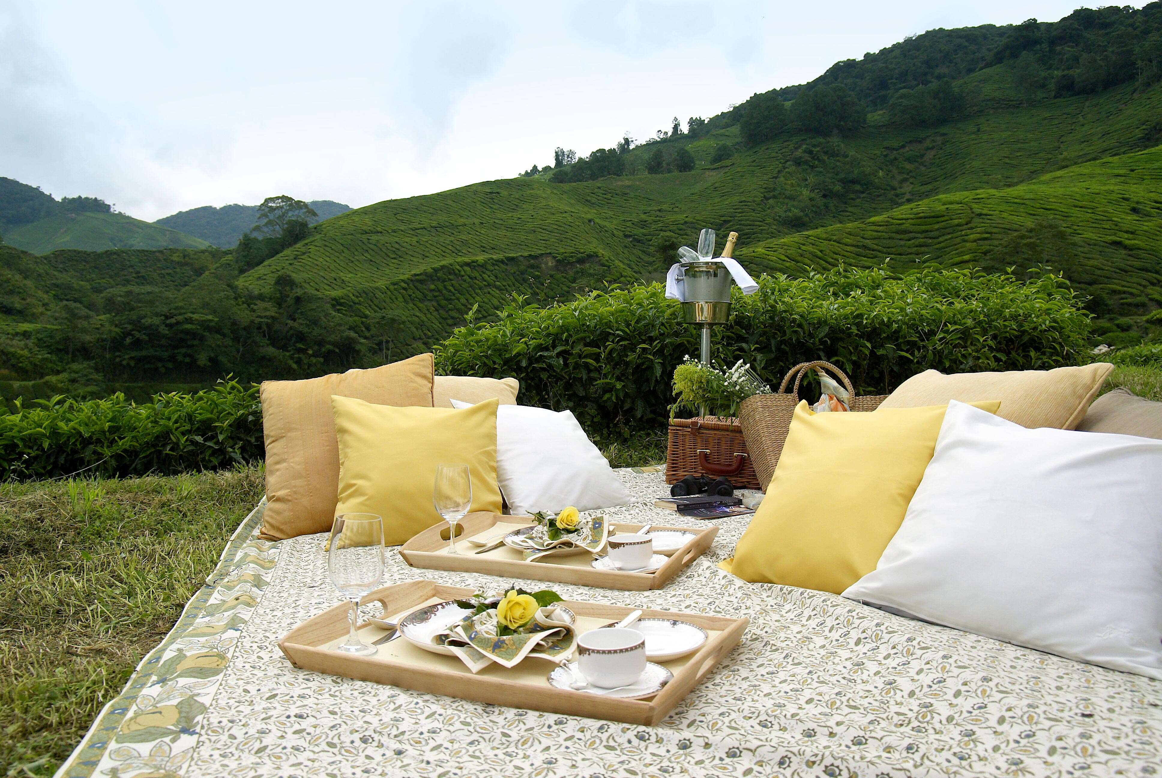 lifestyle town spectacular spots romantic picnic lifestyle town spectacular spots romantic picnic