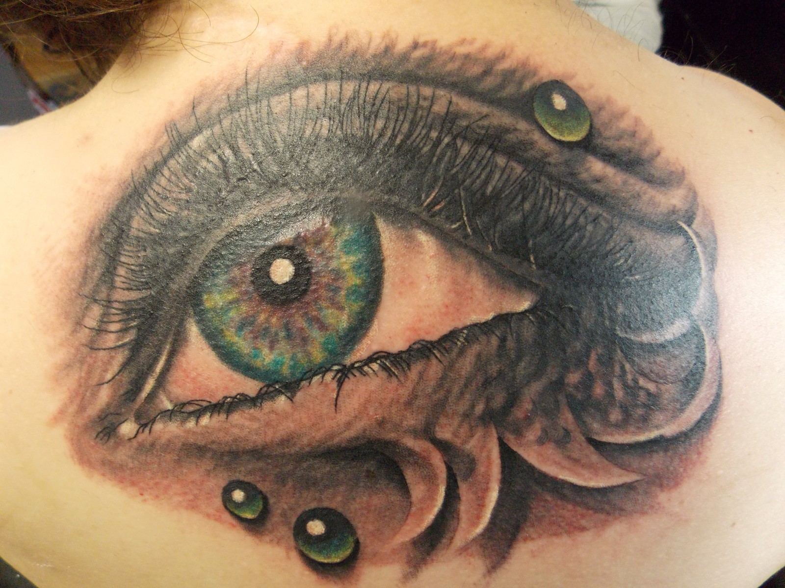 GROSS PHOTOS SEE 30 Of The Most Realistic Tattoos EVER [LOOK] The Trent