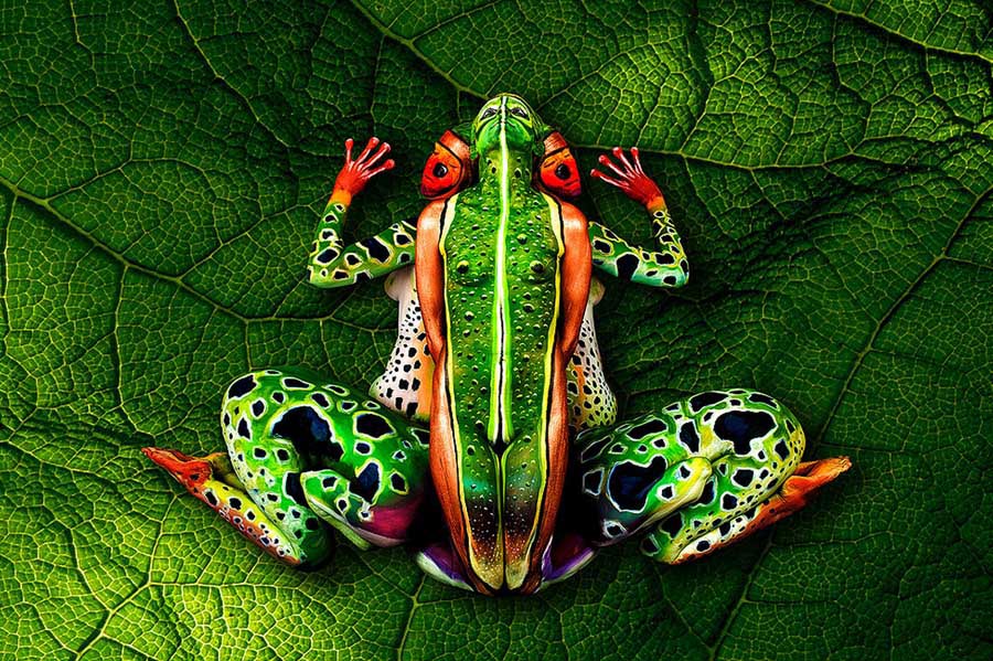 Source: The Mirror Tree Frog, by Johannes Stoetter, consists of five made-up bodies. Stoetter was crowned the 2012 World Body Painting champion, and is internationally known for his artistic skills with skin.