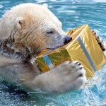 Christmas 2013 The Trent 29