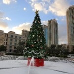 Christmas 2013 The Trent 30