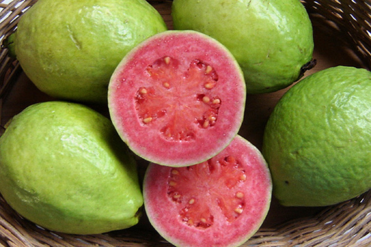 guava guavas