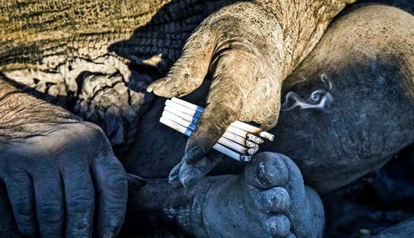 (Photo Credit: Iranian News Agency)