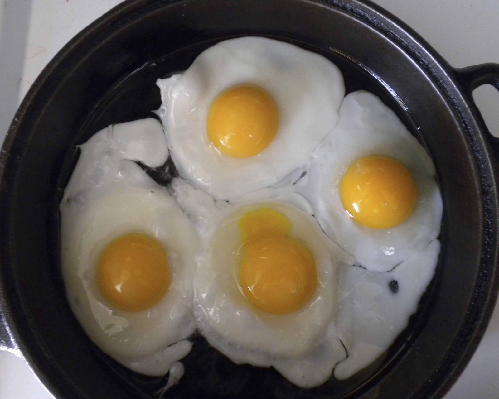 eggs