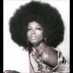 Diana ross the trent 3303