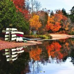 Lake Superior Provincial Park in Ontario