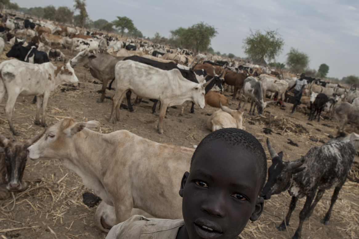 Nasarawa, Mohammed Abdullahi, Umaru Al-Makura, Awe, Keana, Doma, Assakio, Keana, Gitata