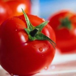Tomatoes The Trent tomato