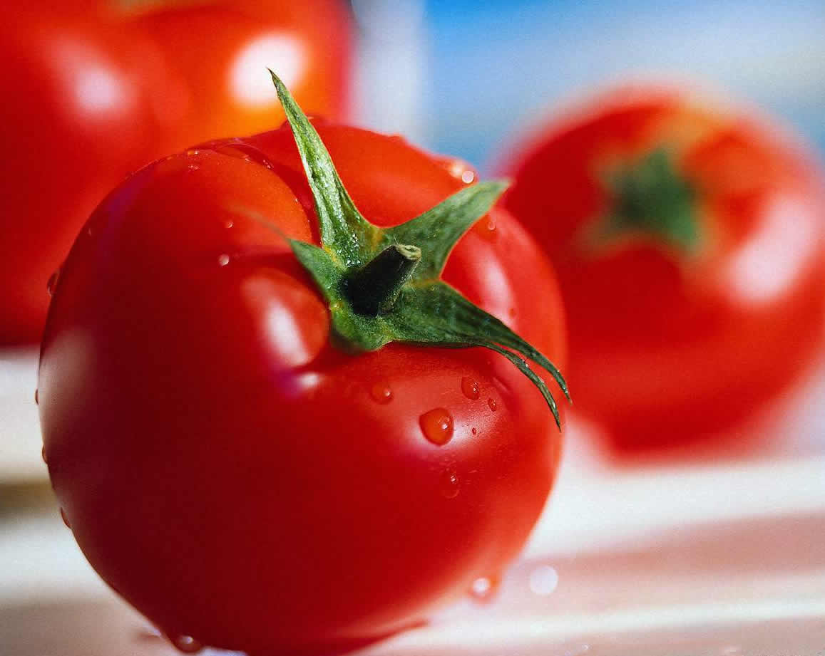 Tomatoes The Trent tomato tomatoes