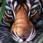 illusion CS58319817PIC-FROM-CRAIG-TR-3241701