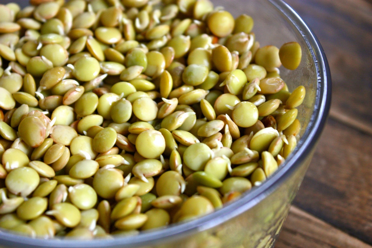 Lentils