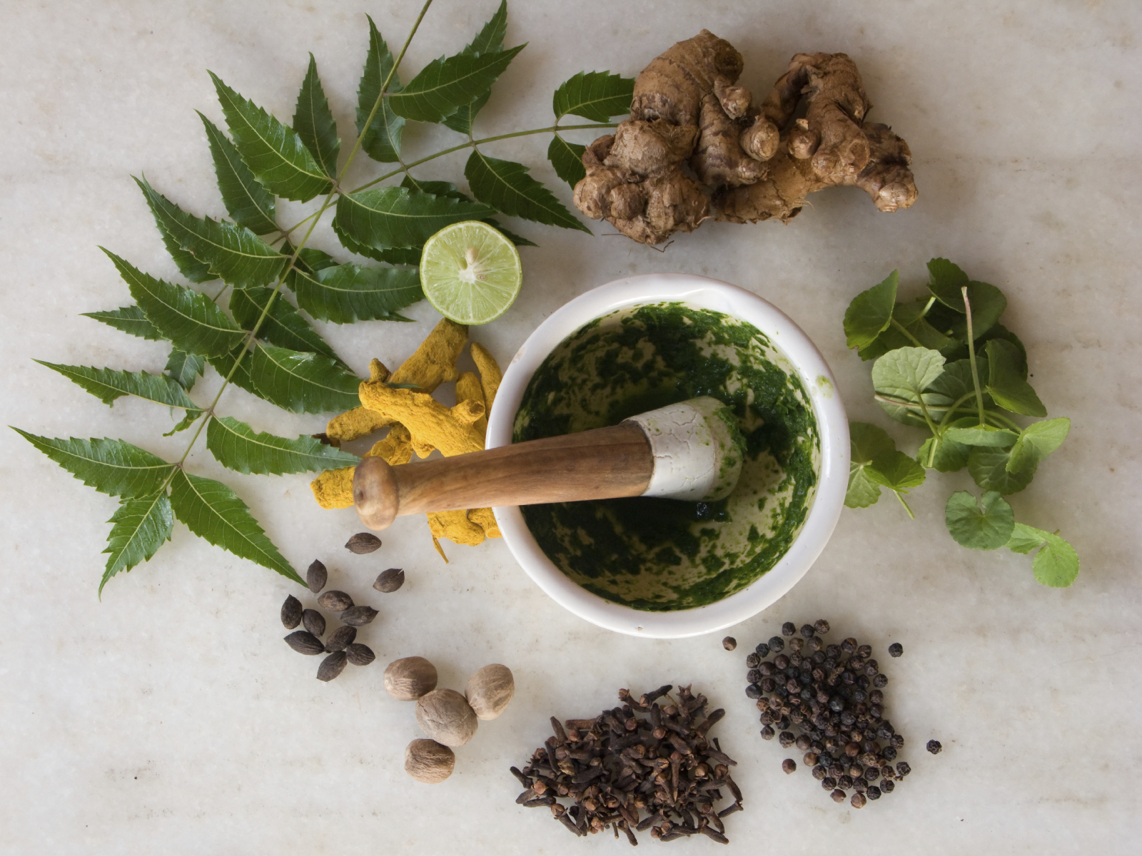 An array of Herbs and spices with a motar and pestle.