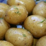 boiled potatoes with herb vinaigrette