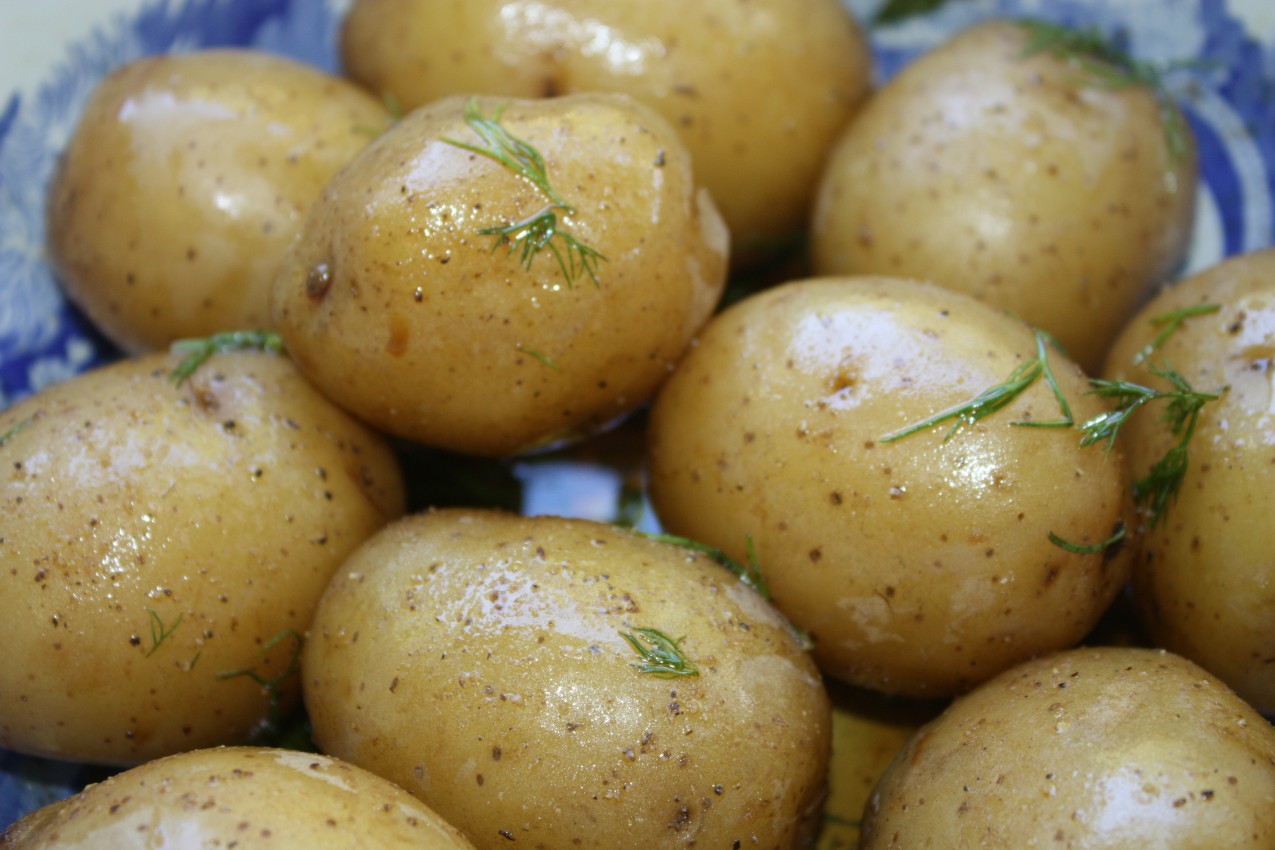 boiled potatoes with herb vinaigrette