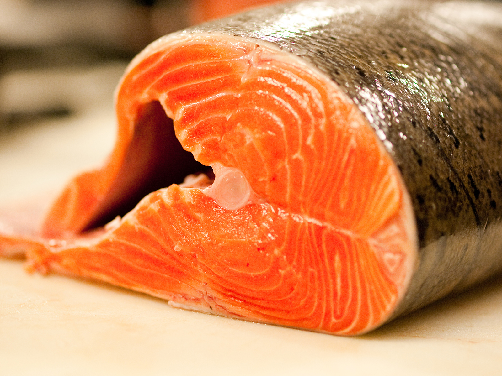 salmon fish food