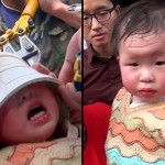 potd-pipehead_2861301k