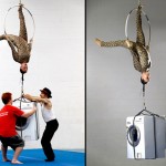 potd-washing-machi_2861954k