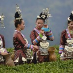 potw-makeup_2865905k