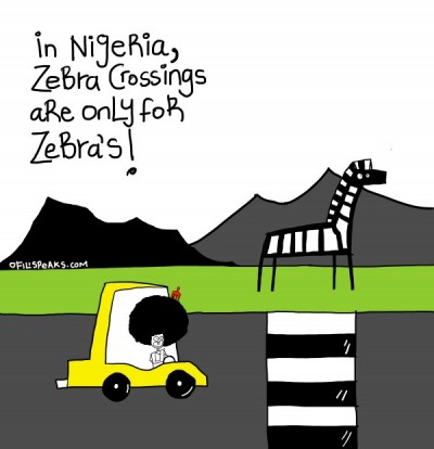 zebra