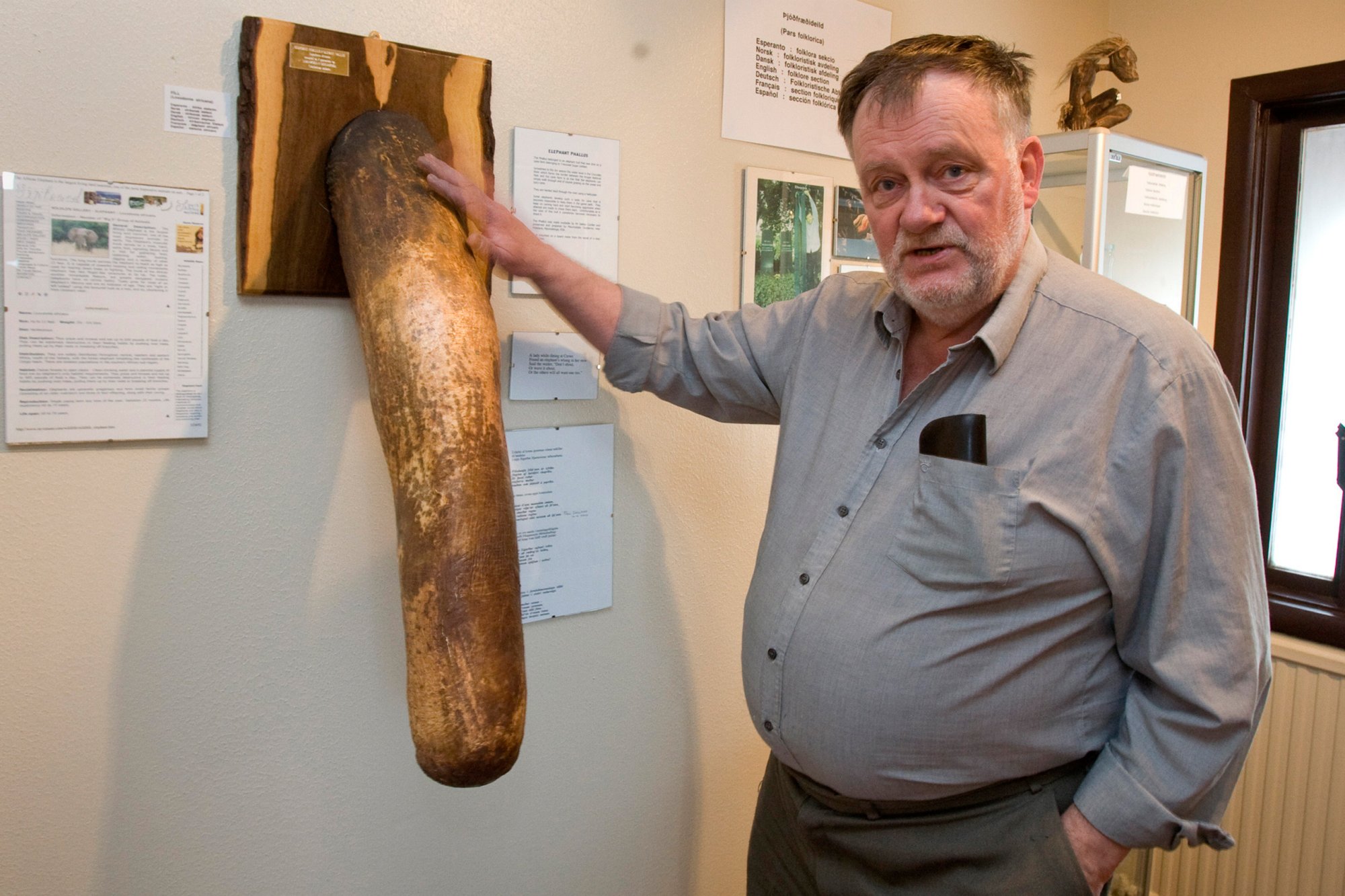 #BelieveItOrNot A Penis Museum Exists And This Actor Donates His 13.5 Inch ...