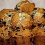Blueberry-Muffin-The-Trent-s
