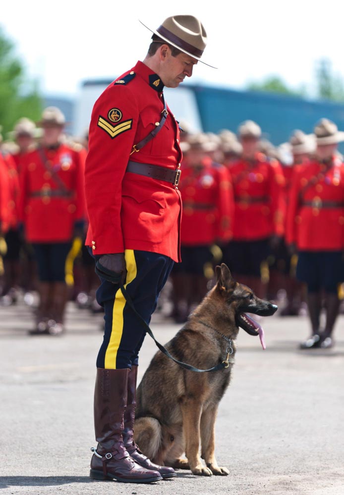 Photo Credit: The Canadian Press/Marc Grandmaison