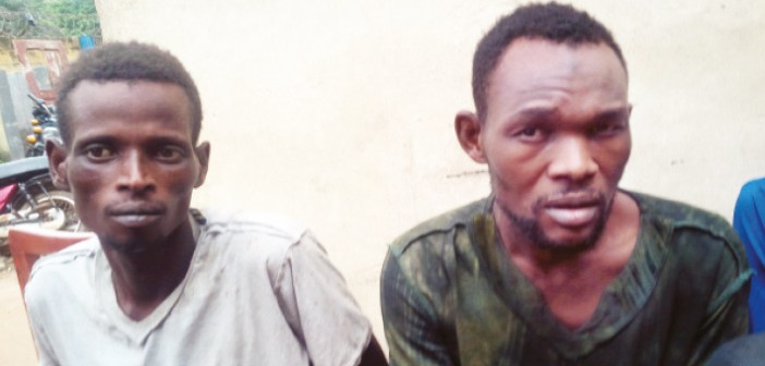 Mohammed Musa, Ibraham Mohammed