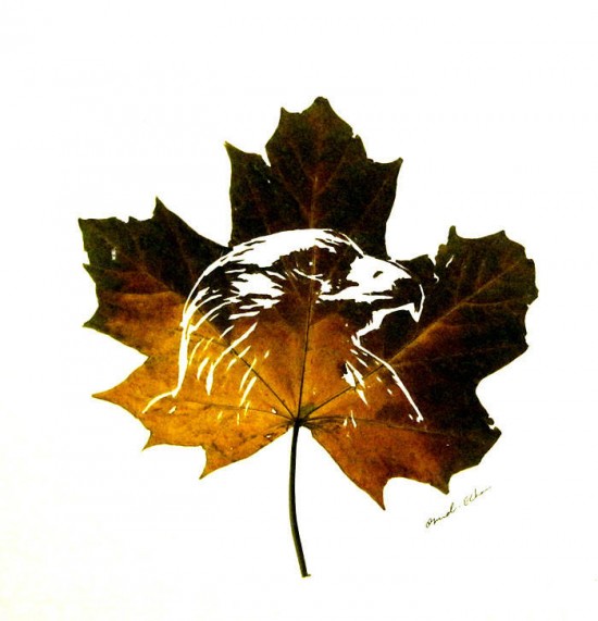 Tree Leaf Carvings of Omid Asadi (Photo Credits: Oddity Central)