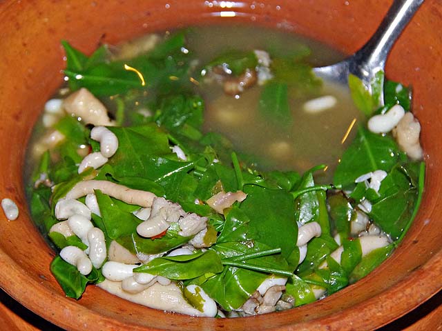 Vegetable Mushroom and Ant Larvae Soup