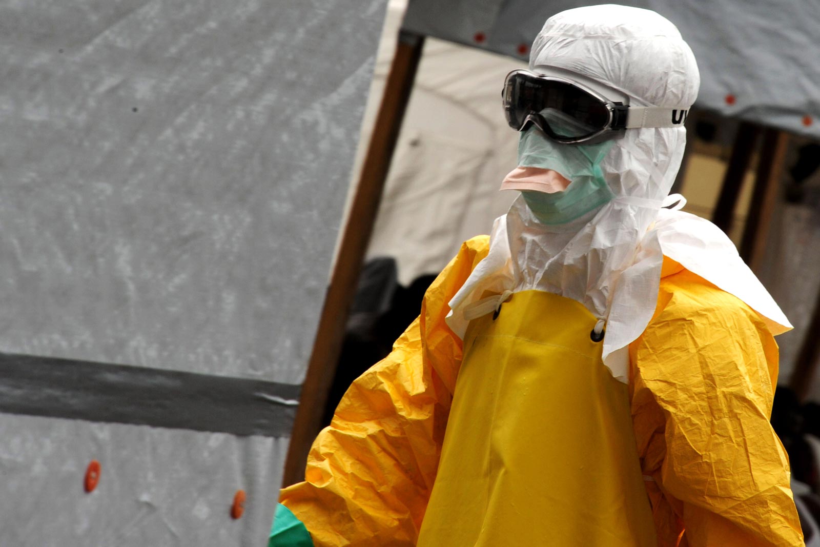 Ebola Ebola Virus