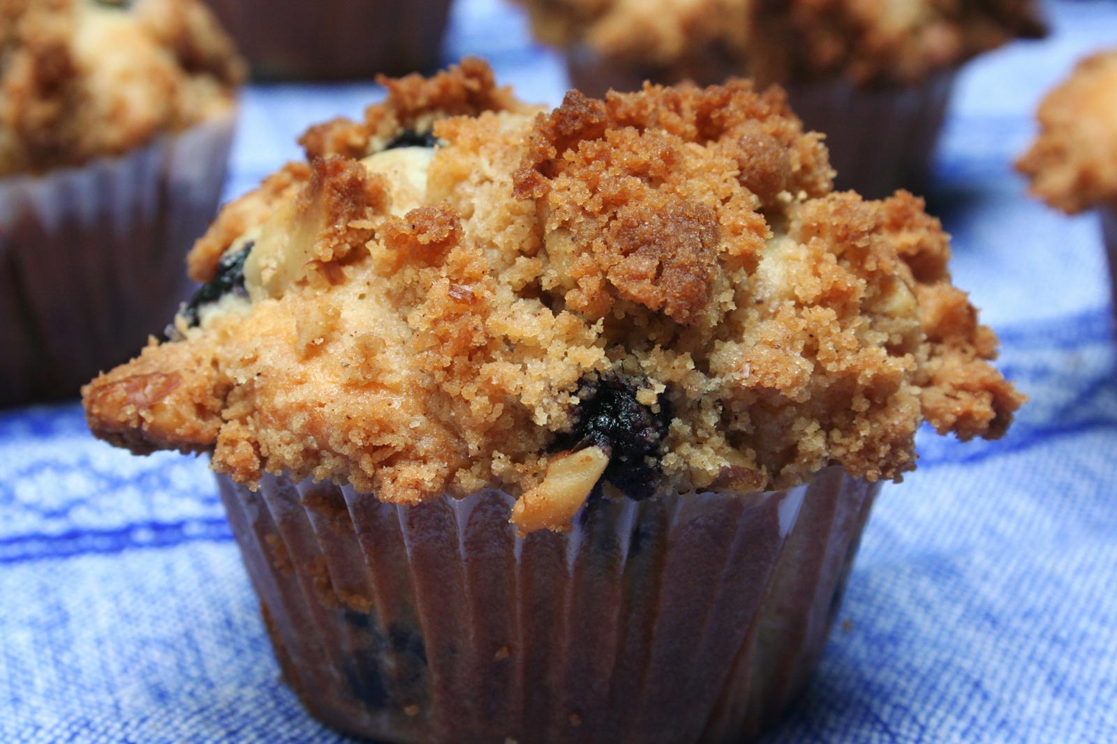 Blueberry-Walnut-Struesel-Muffins-Cake-Boss-Baking
