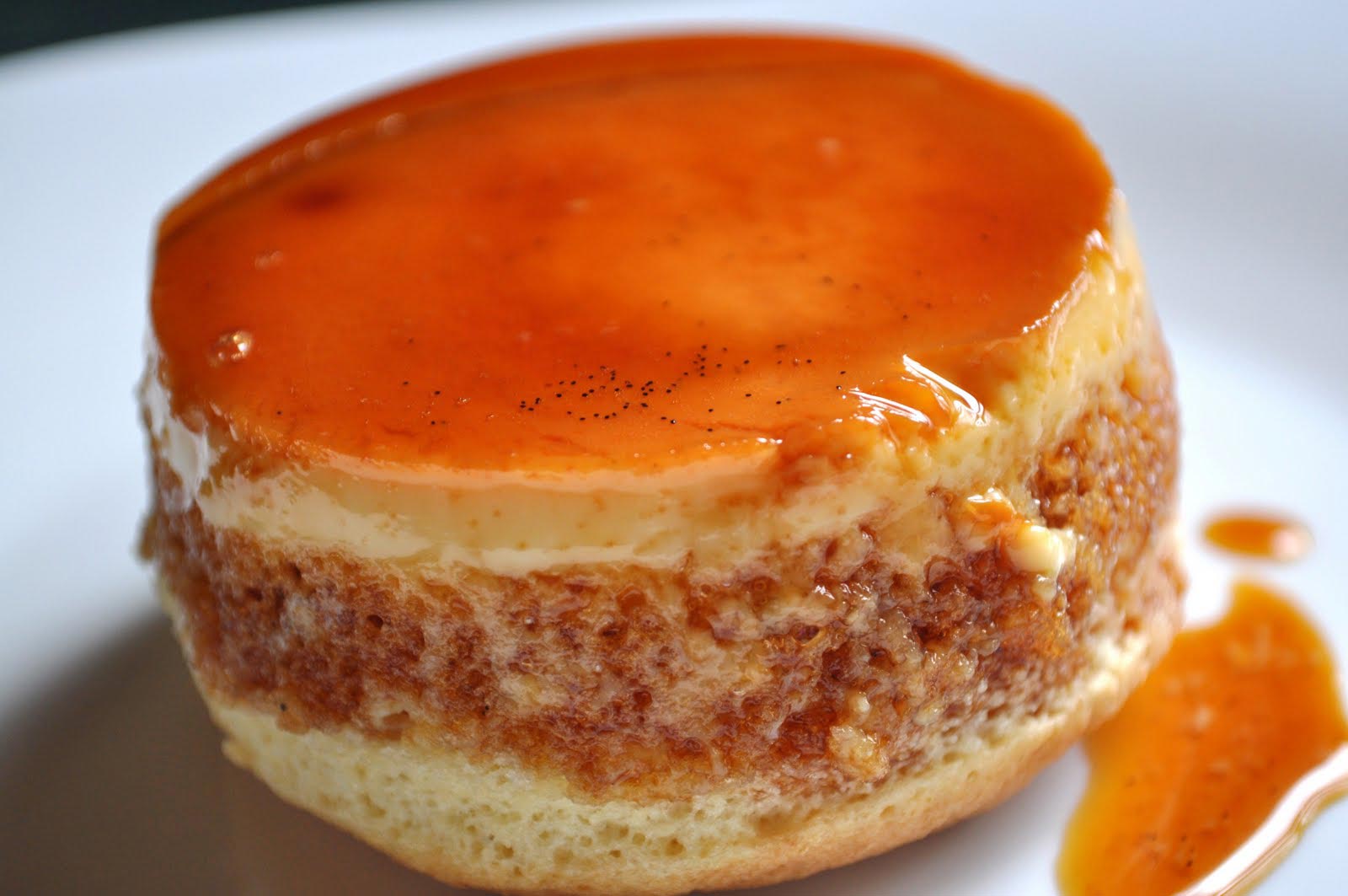 Custard-Cake-Flan-Cake-Babbling-Spoon