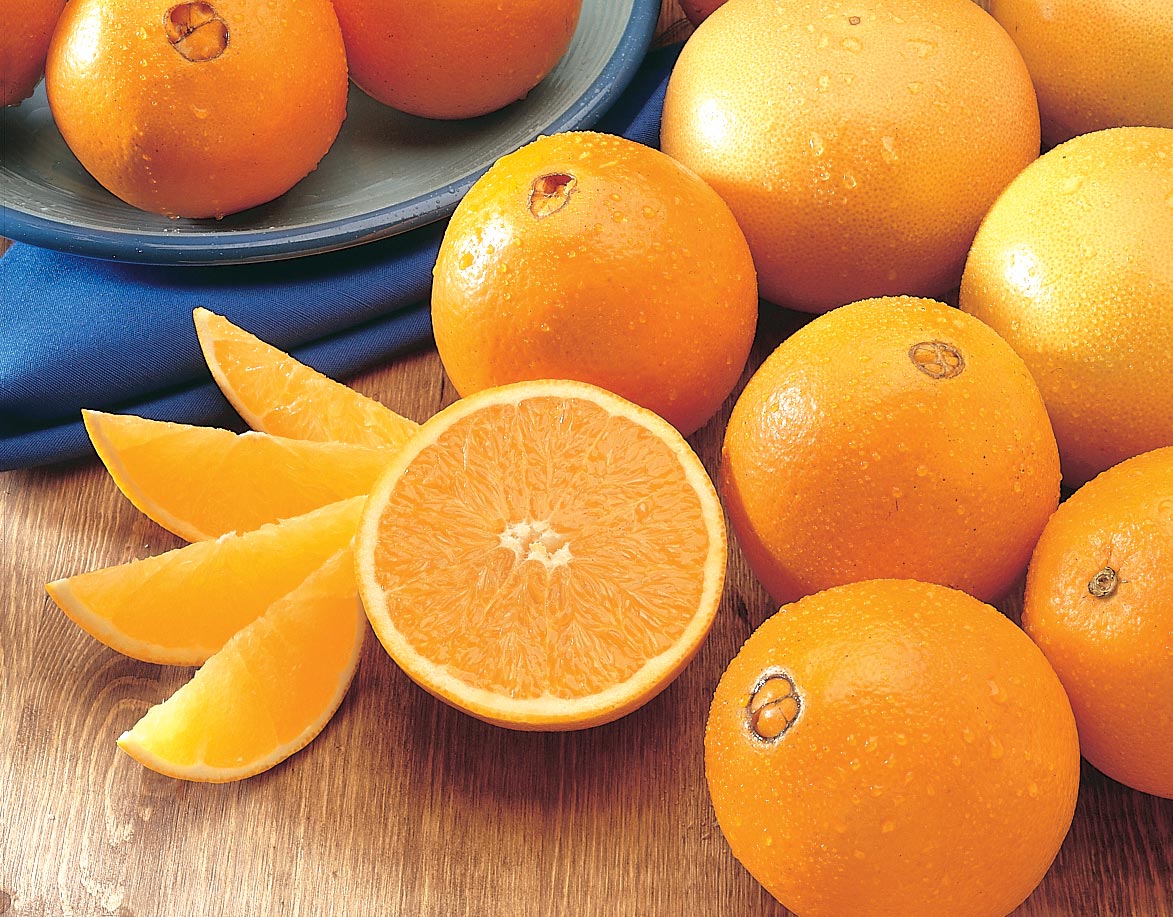 Navel-Oranges-Rober-Is-Here