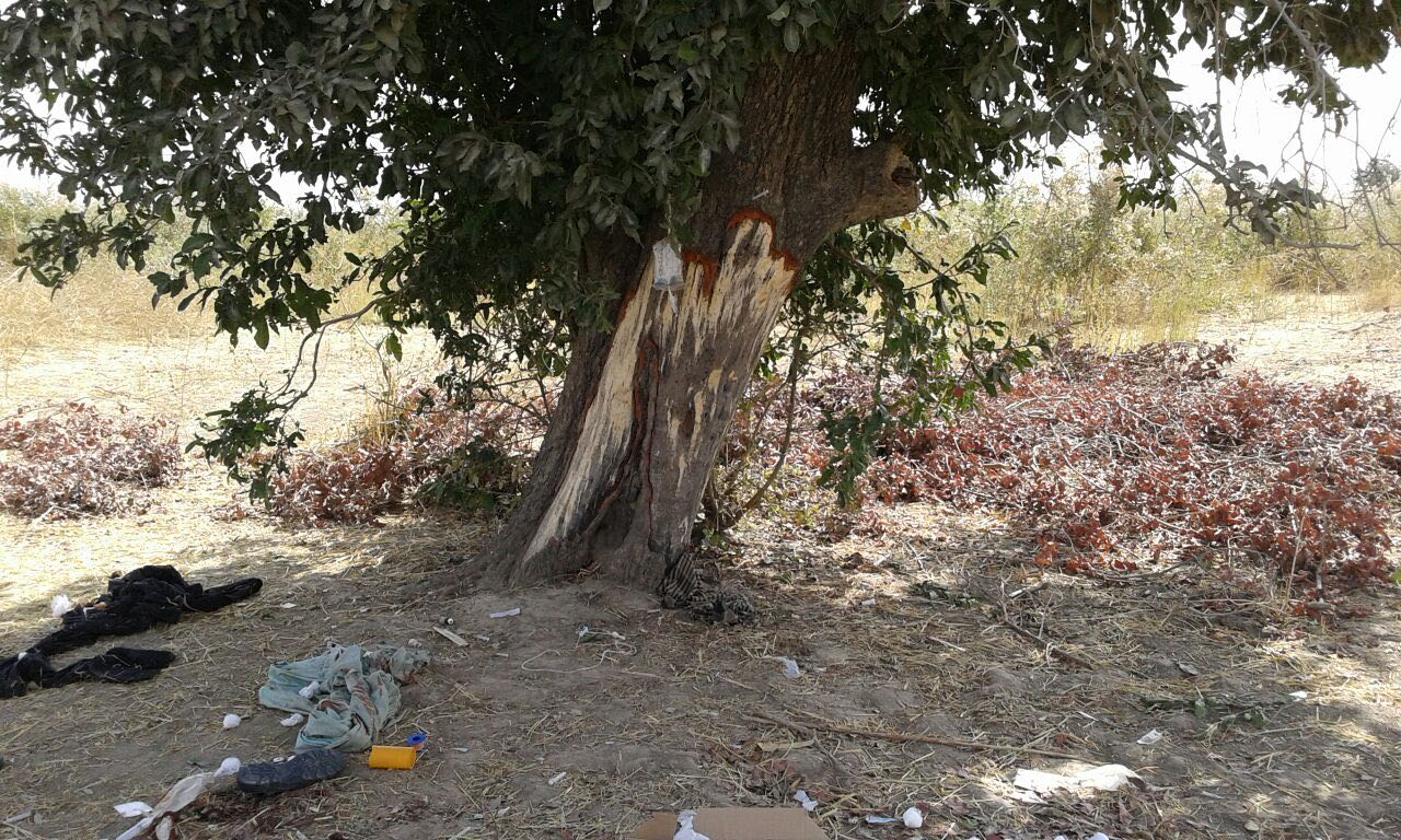 Area used as habour before the attack in Borno (Photo Credit: Nigerian Military)