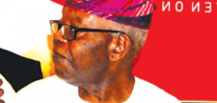 Olanihun Ajayi (Photo Credit: Daily Sun)