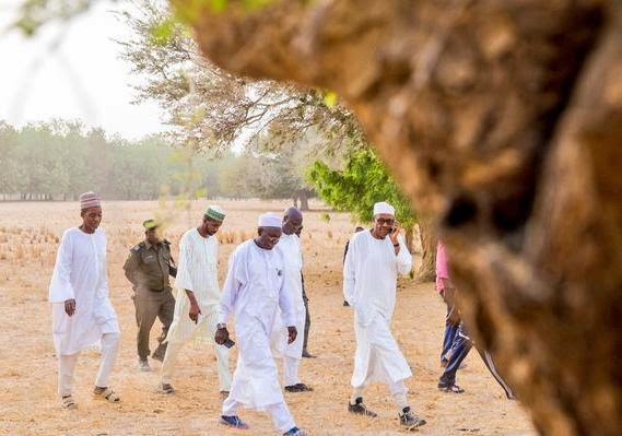 Gneral Buhari at his farm in Daura, Katsina State (Photo credit: Bayo Omoboriowo)