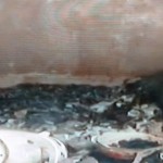 Jos tragedy3- The Trent