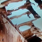 Jos tragedy5-The Trent