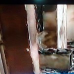 Jos tragedy6-The Trent