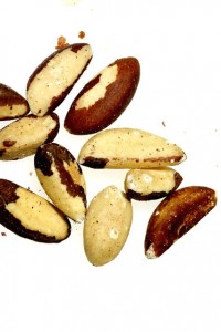 brazil_nuts_gl_10nov10_rex_b_426x639