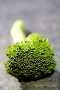 broccoli_gl_10nov10_rex_b_426x639