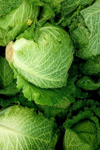 cabbage_gl_21nov12_istock_b_426x639