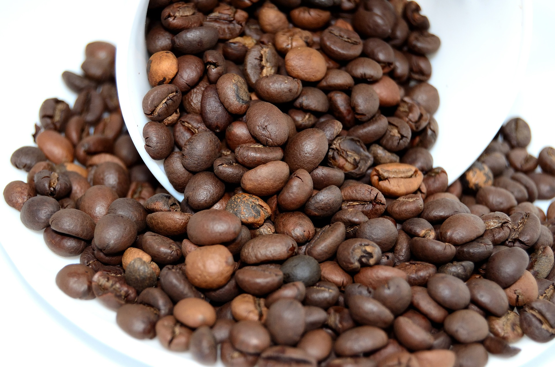 coffee facts