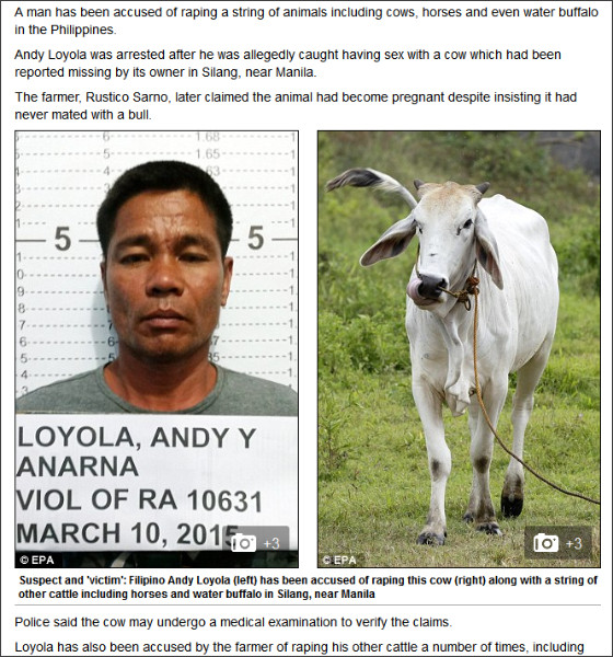 Serial animal rapist, Andy Loyola impregnates farmer's cow after it went missing in Philippines. (Photo Credit: Inquisitr)