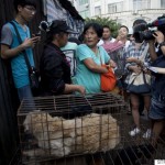 CHINA-ANIMAL-DOG