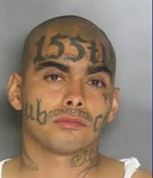 17-year-old Nazario Conchuza Gonzalez, member of the infamous MS-13 gang, in Los Angeles has died after he attempted to gold plate his penis to celebrate his 15th year as an illegal occupant in America without deportation. (Photo Credit: AP Photo/Dennis System)