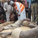 Boko Haram caught