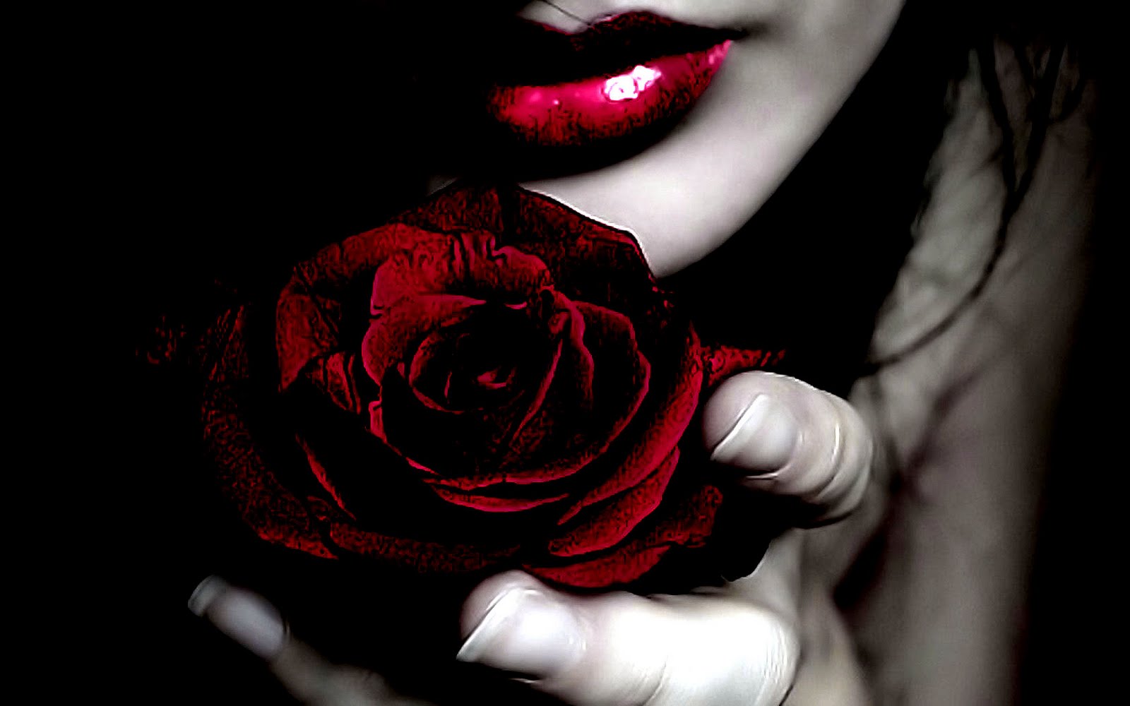Red Rose Lips Lipstick Rosa vermelha_Black beijo_Papel de Parede