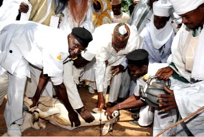 President Muhammadu Buhari (m) slaughtering a ram for Eid-el-Kabir celebration at the Daura Eid prayer ground in Katsina State on 24 September, 2015 | NAN
