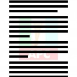 12184268_751858554919243_7590300348931239471_o